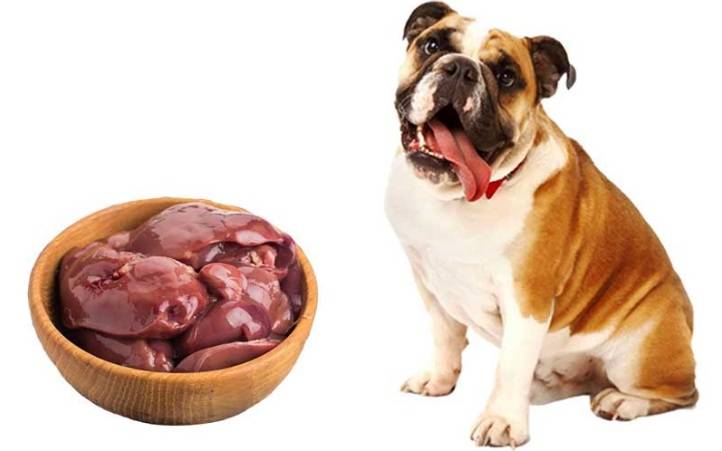 Петс Диет Мясо Для Собак