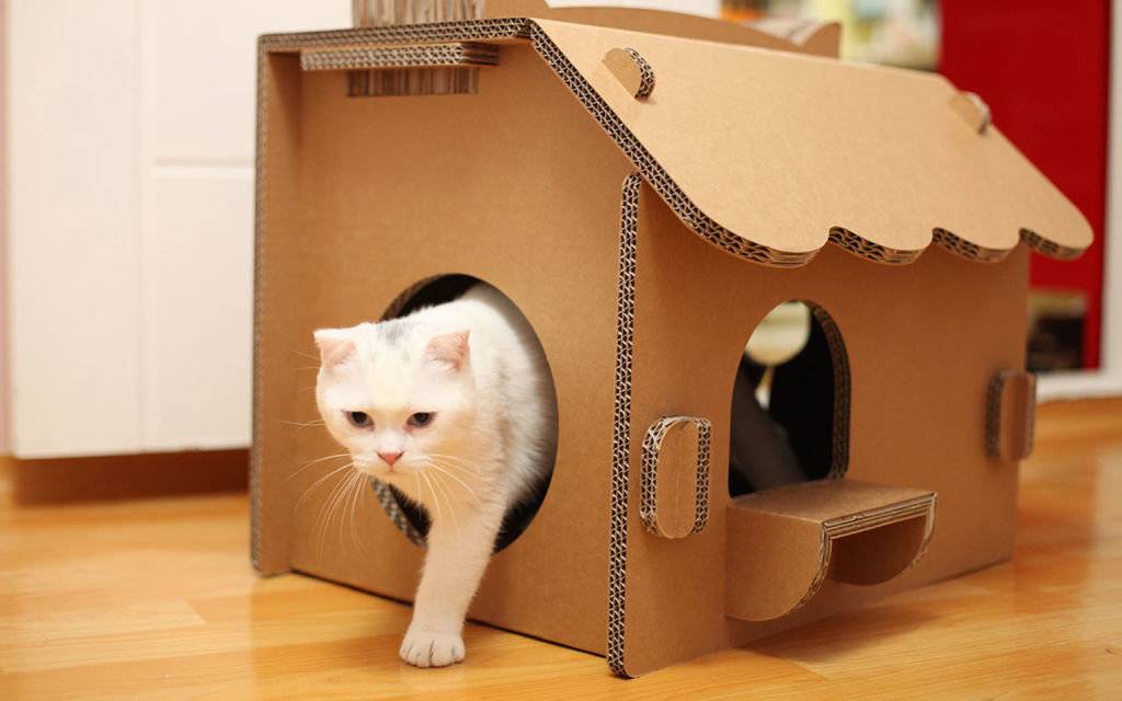 Какие домики для кошек бывают фото