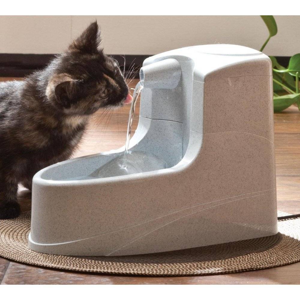 Автопоилка для кошек: виды поилок, особенности, правила выбора и эксплуатации автоматических питьевых фонтанчиков
