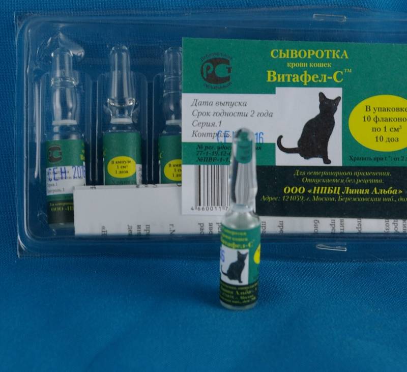 Сыворотка для котов для иммунитета