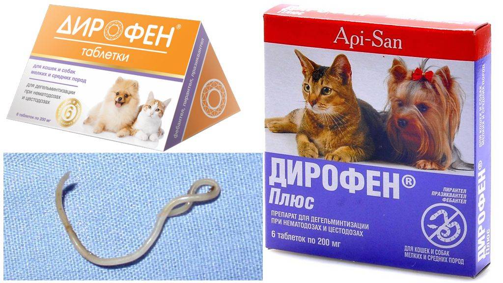 Инструкция по применению препарата профендер для кошек и котят