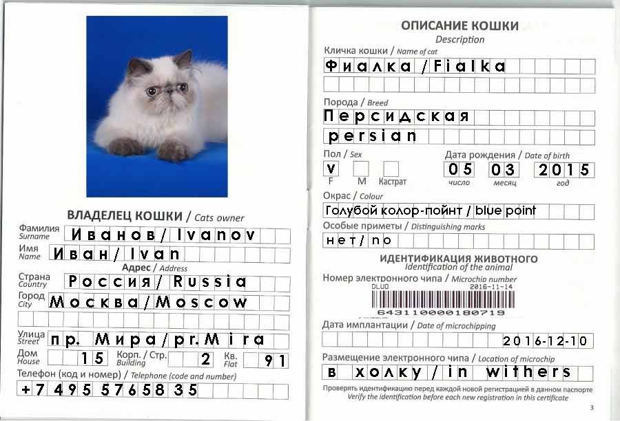 Паспорт для кота прививки