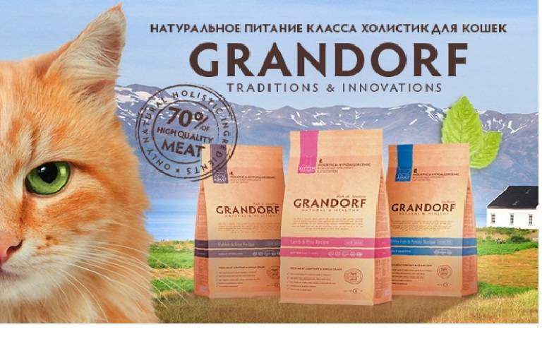 Обзор корма для кошек Grandorf