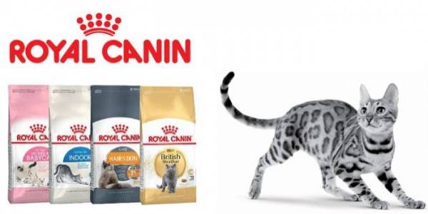 Обзор корма для кошек Royal Canin
