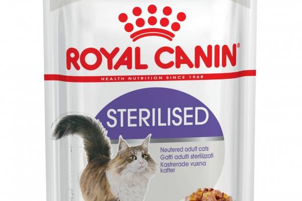 Royal canin для кастрированных котов рвота