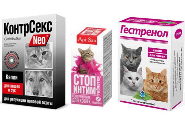Эффективные препараты для кошек во время течки