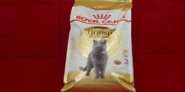 Подобрать корм для кошки royal canin