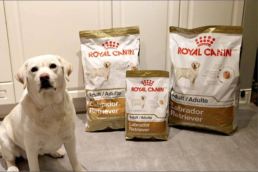 Линейка кормов royal canin для собак thumbnail
