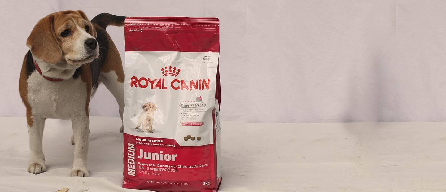 Линейка кормов royal canin для собак