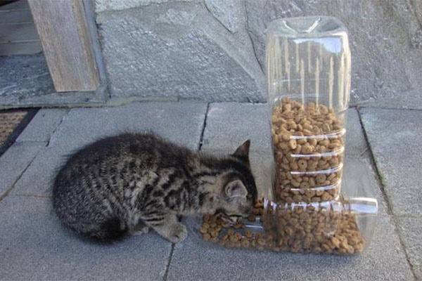 Дозатор для корма для кошек сделать