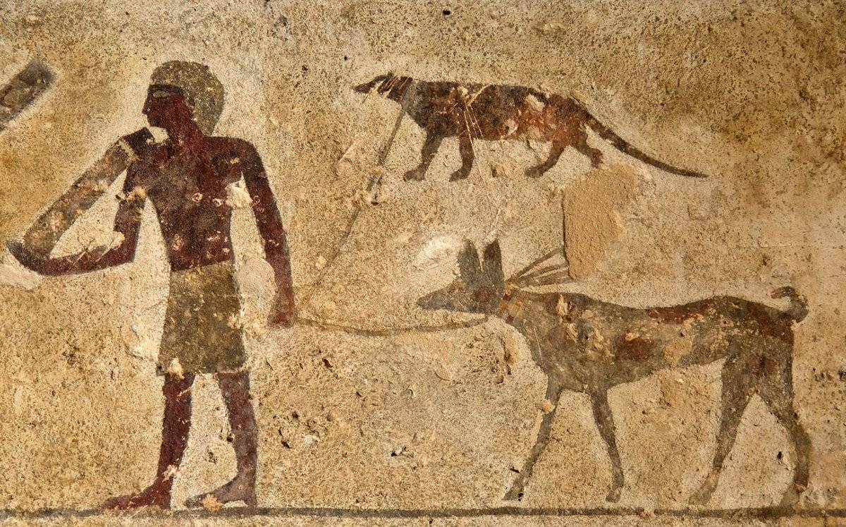 5. egipetskie naskalnye risunki s psami