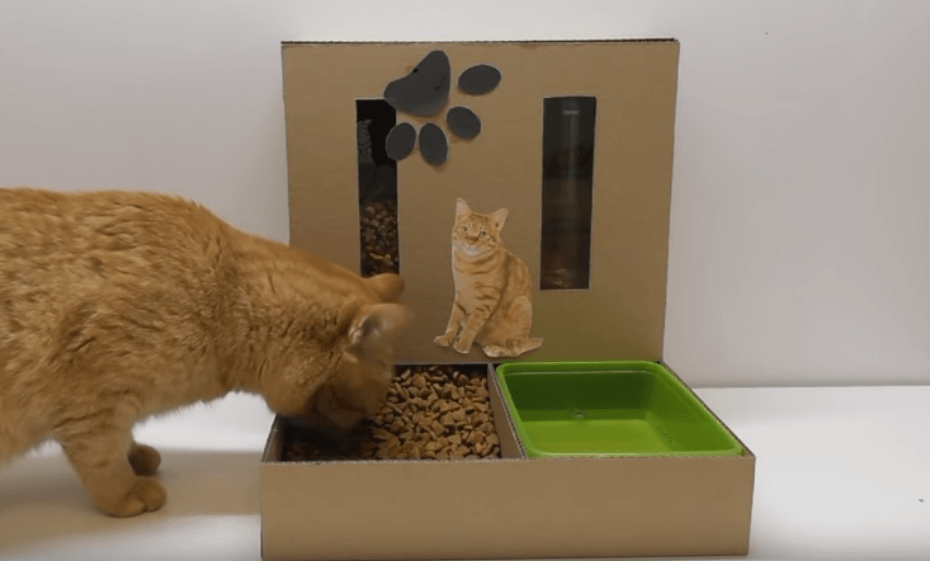 Подставка для корма кошек своими руками