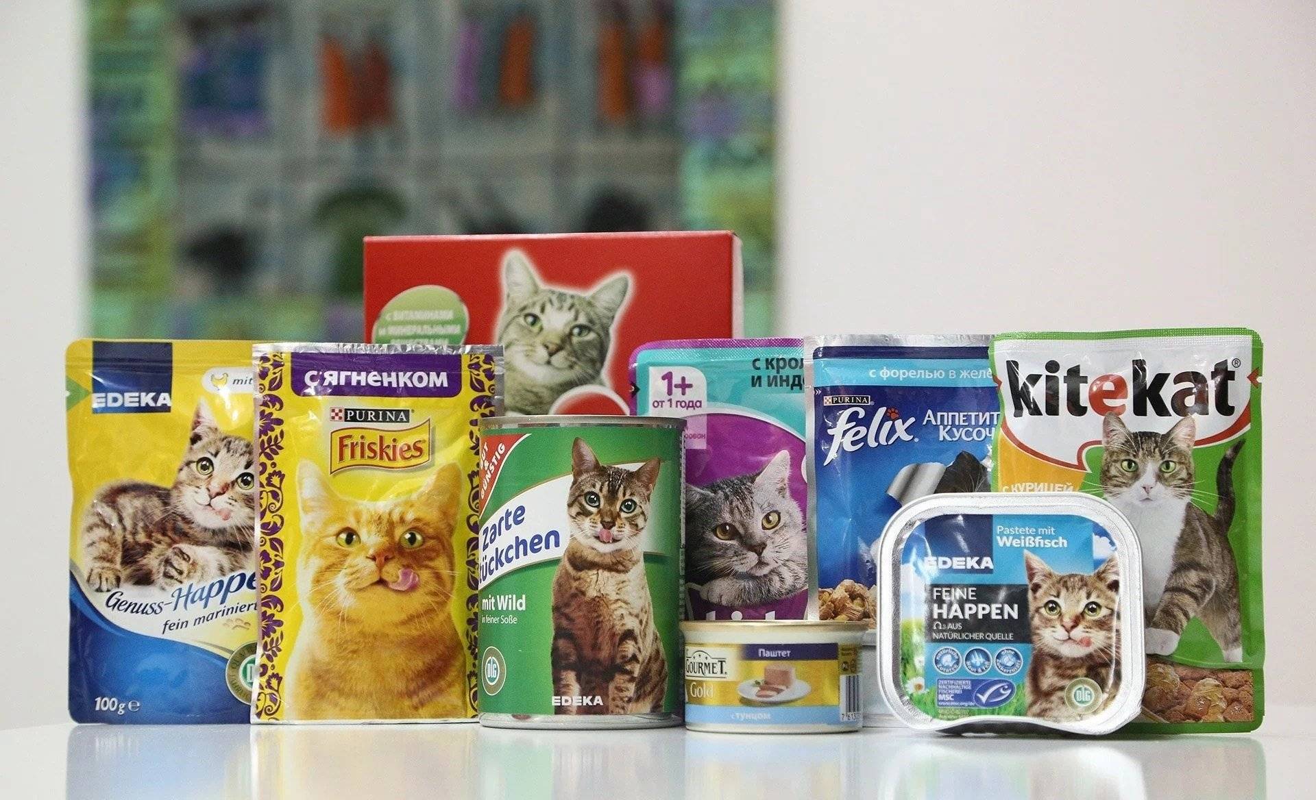 Каким кормом советуют кормить кошек ветеринары
