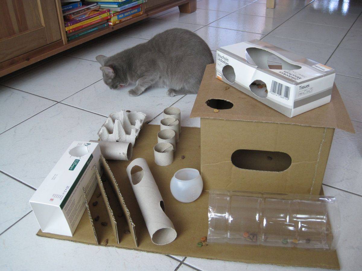 Самодельный кот. Самодельные игрушки для котов. Игрушки для кошек своими руками. Игрушка для кошки "коробка". Игрушка кот.